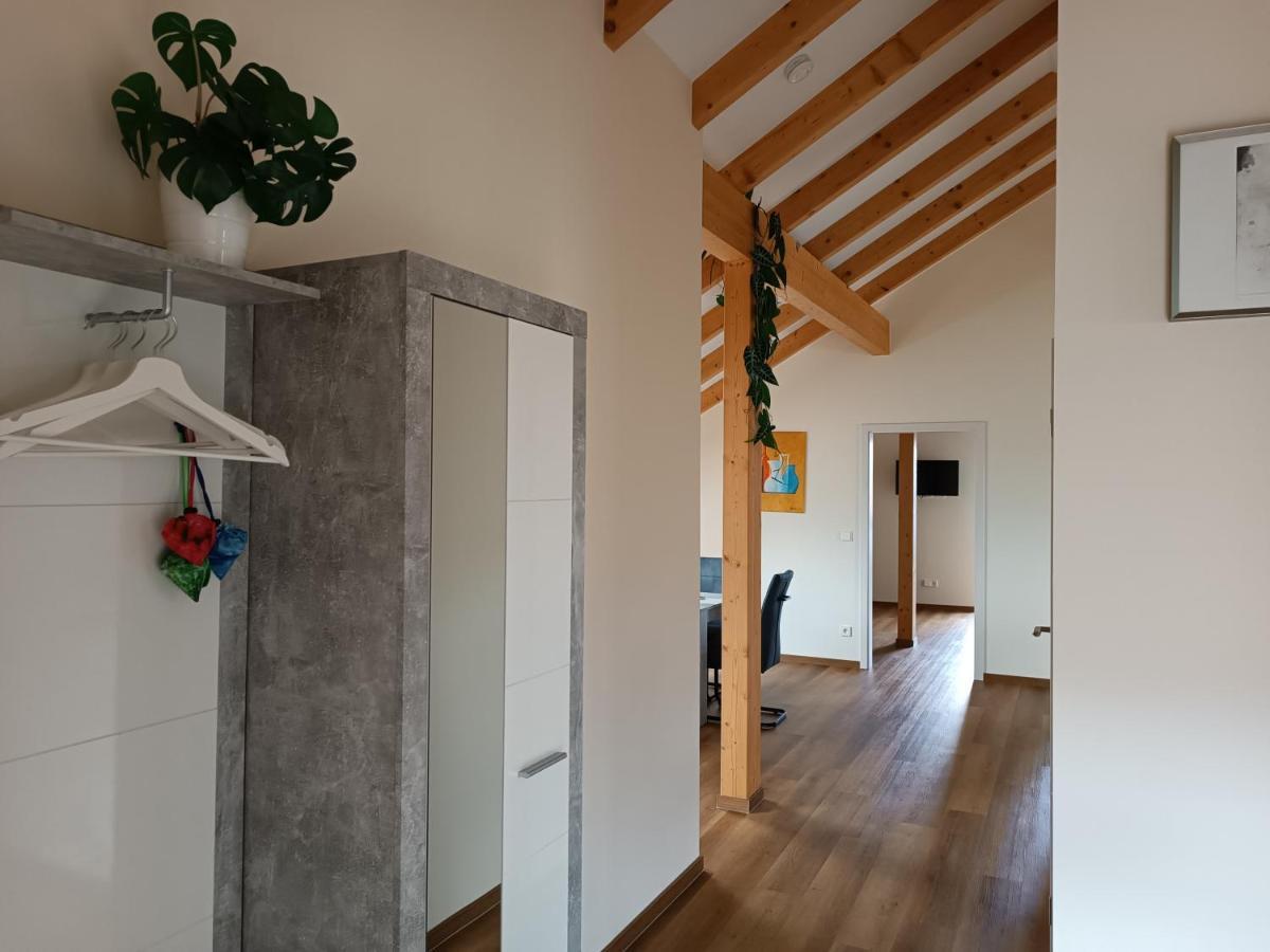 Apartment Weinrebenblick Maikammer