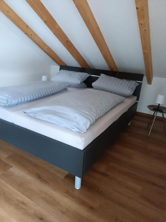 Weinrebenblick Maikammer